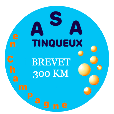 Logo 300 km